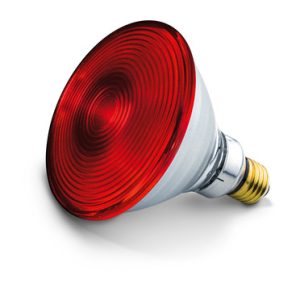 Philips Infrared Replacement Bulb for Infrared Therapy Lamps